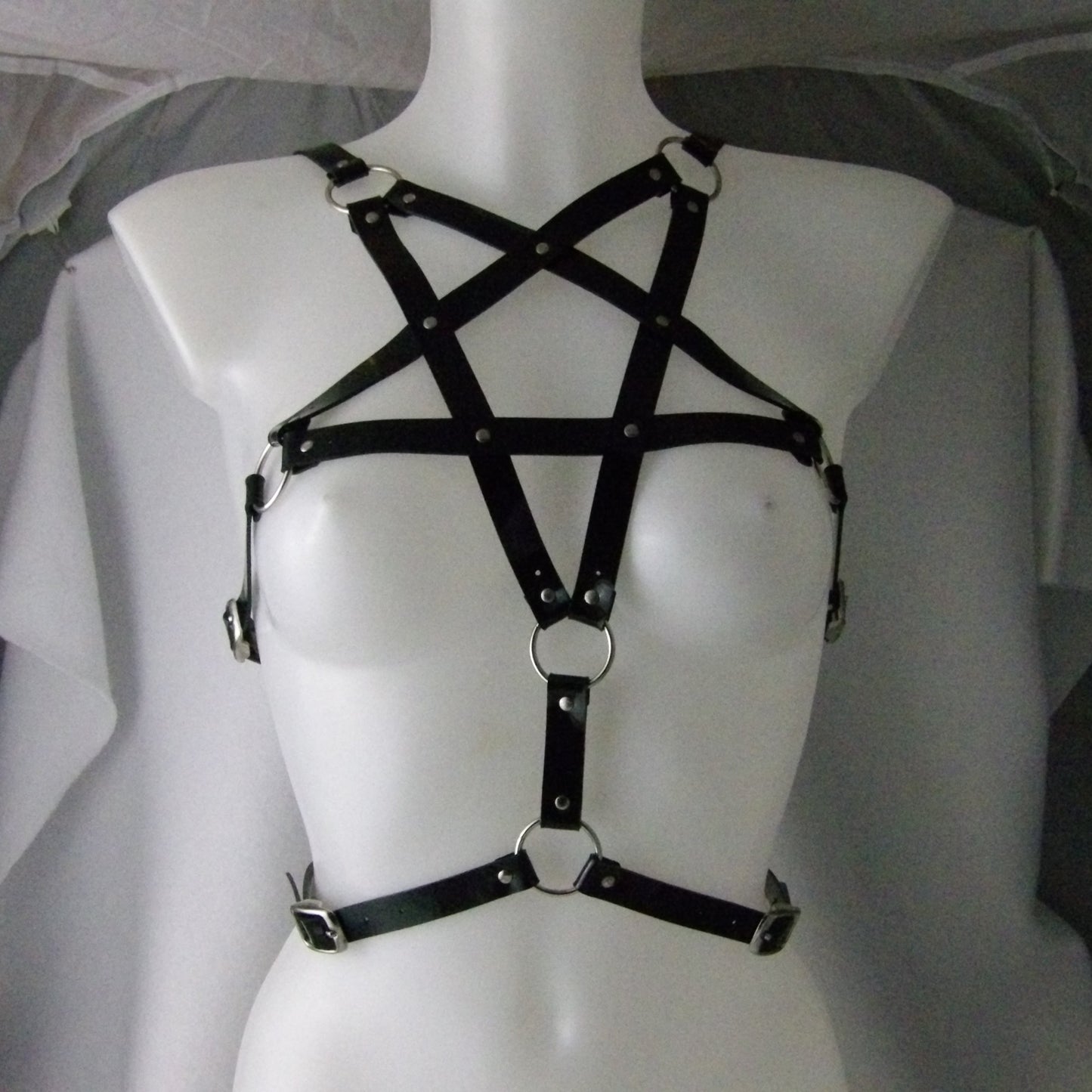 Black Pentacle Harness
