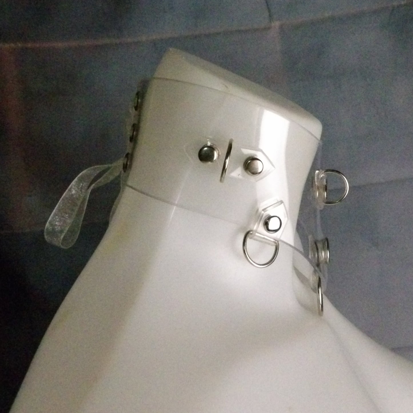 Clear Power & Control Collar