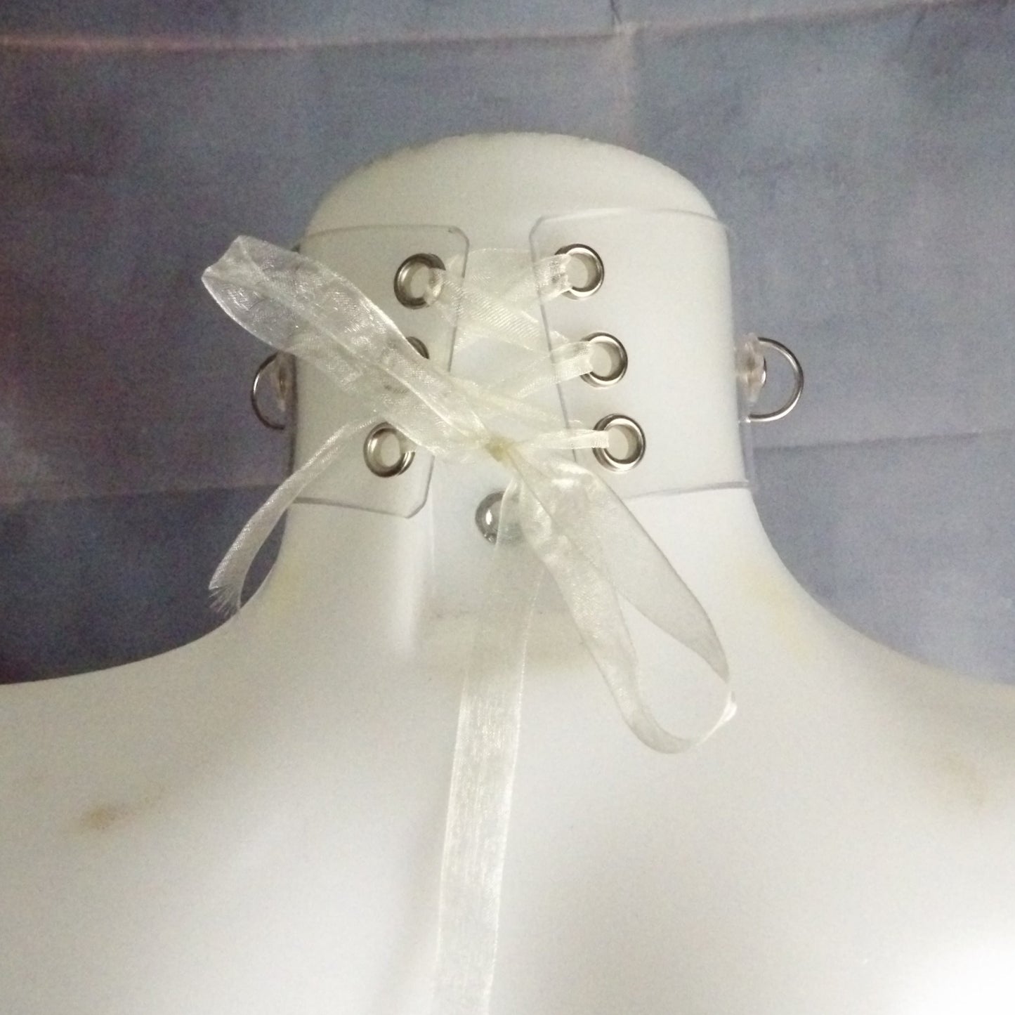 Clear Power & Control Collar